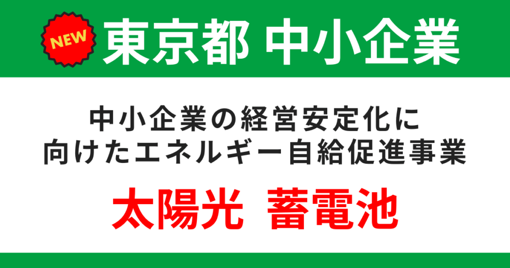 tokyo-energy-jikyusokusin-subsidy