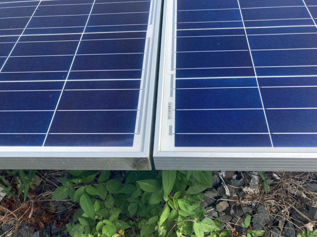 field-after-cleaning-panels-1